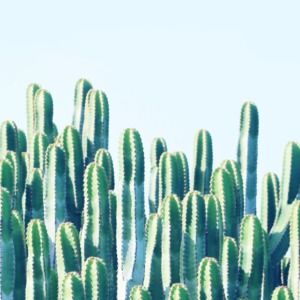 Meet your Posher, Simone